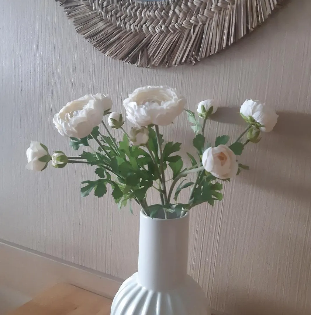 Bord De Mer! Studio Terrasse ,Prado Plage Марсель 0*,  Франция
